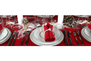 location vaisselle noel