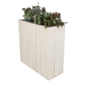 Jardinière Natura garnie de plantes naturelles