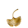 Rond de serviette Ginkgo