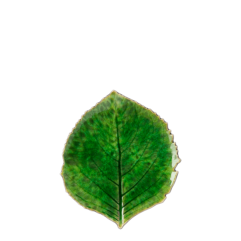 Assiette lunch "Végétale" Ø 22 cm