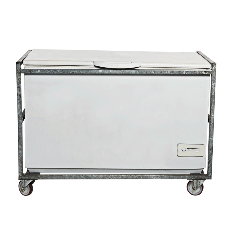 Congélateur 400 L 220 V - 200 W